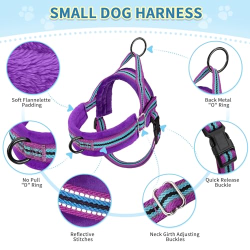 No Pull Small Dog Harness and Leash Set with Front Clip (Medium / Purple)