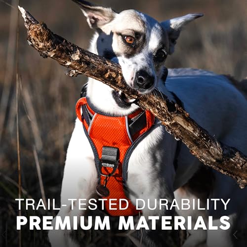 Embark No Pull Dog Harness (S / Orange)