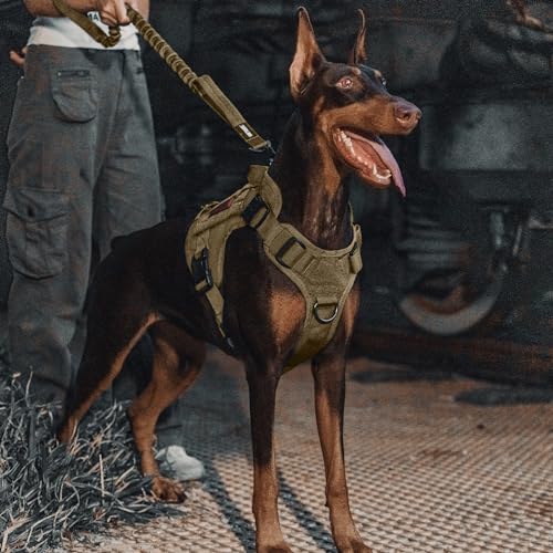 Tactical Bungee Leash with 2 Handles Quick Release (Brown / 85cm-118cm/33.5in-46.5in)