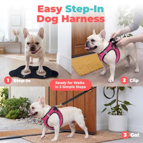 Voyager Step in Air Dog Vest Harness (Fuchsia 2-Tone / L (Chest: 18 - 20.5"))