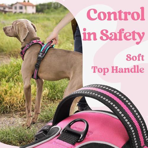 Dog Harness for Large (Large / Rose Pink)