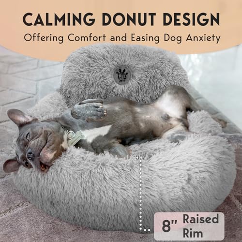 PetJett Small Dog Bed (Bright Grey / Small - 23”L x 23”W x 8”Th)