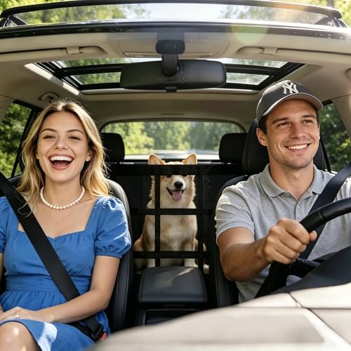 Dog Car Barrier with 3