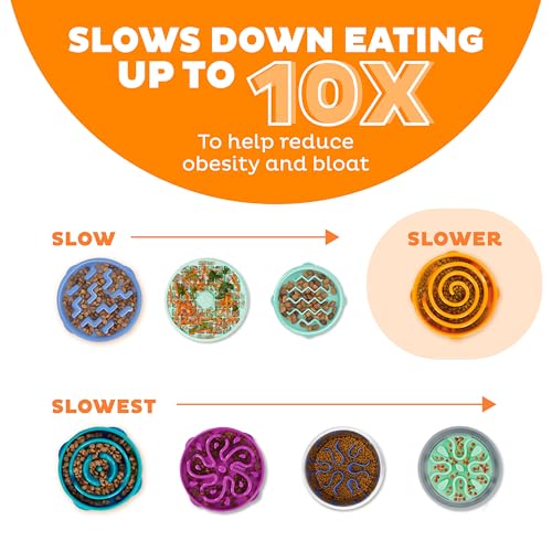 Fun Feeder Slo Bowl (Orange / Medium)