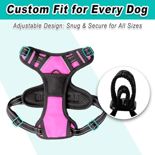 Dog Harness for Small Sized Dog No Pull 2 Leash Clips Dog Vest (X-Small / Pink)
