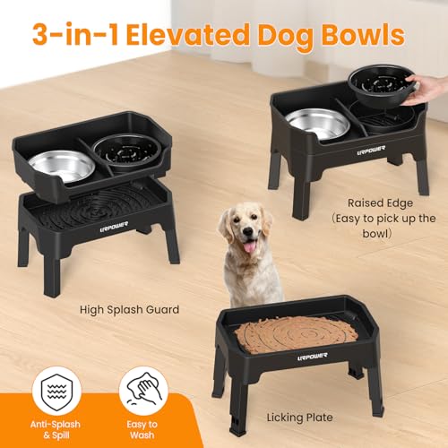 Mess Proof Elevated Dog Bowls Double Deck Slow Feeder (Jet Black / Large)