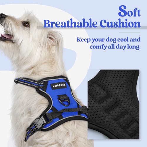 Dog Harness No Pull for Small Dogs with 2 Leash Clips (X-Small / Dazzling Blue)