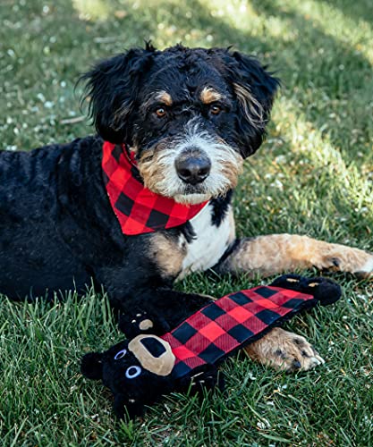 Bear Squeaky Dog Toy (Bear Dog Toy)