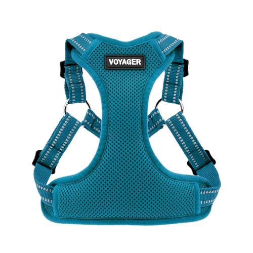 Voyager Step in Flex Adjustable Dog Harness (Harness (Turquoise) / XS)