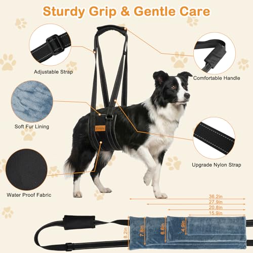 Dog Lift Harness for Large Dogs (L)