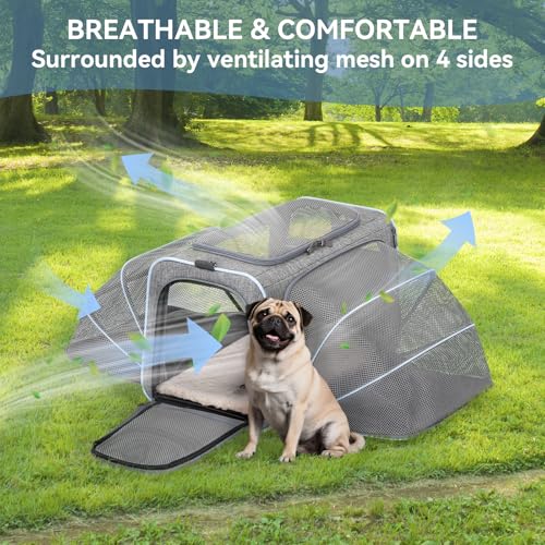 Large Double Expandable Cat Carrier for Large Cats and Small Dogs (19.0"L x 12.0"W x 12.0"H / Light Grey)