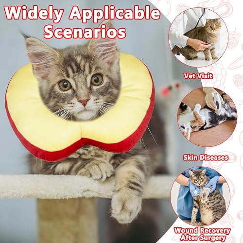 Cat Cone Collar Soft (Apple / Large)