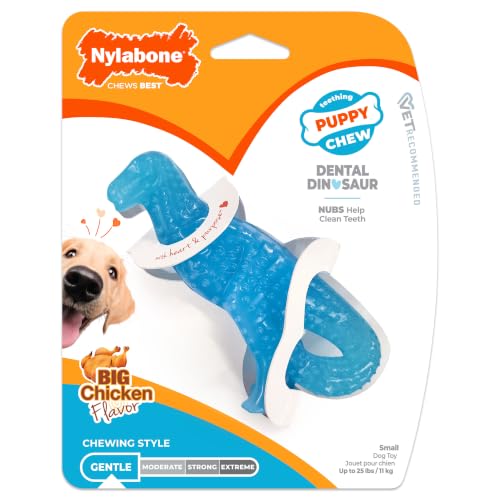 Puppy Chew Dental Dinosaur Dog Chew Toy (Dinosaur / Small)