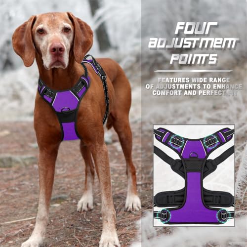 Dog Harness No Pull for Large Dogs Front Back Clips (Large(Chest:24.5-32.5") / Purple)