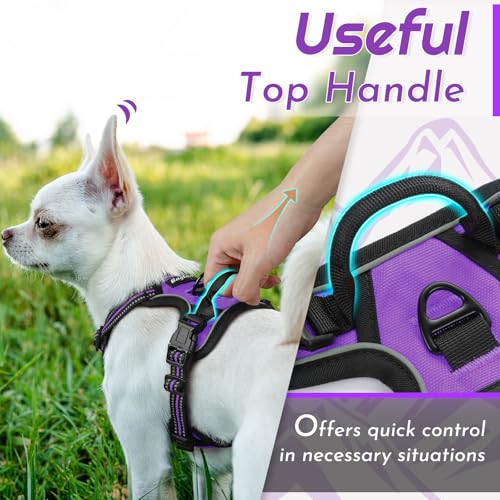 Dog Harness for Small Dogs (X-Small / Purple)