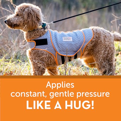 for Dogs Calming Anxiety Vest (X-Large / Platinum)