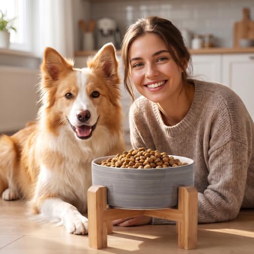 Elevated Ceramic Dog Bowl with Bamboo Stand (White Gray / 7.6Cup)