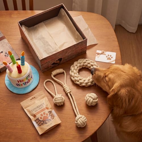 4 Pack Dog Rope Toys for Small Dogs