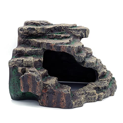 Bearded Dragon Tank Accessories Extra Large Cave