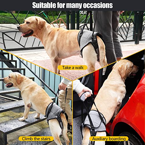 Dog Lift Harness for Dogs (X-Large / Grey)