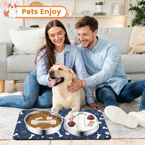 Stainless Steel Slow Feeder Dog Bowls with Pet Feeding Mat
