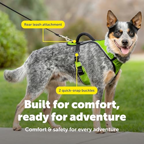EasySport Harness (Medium / Apple Green)