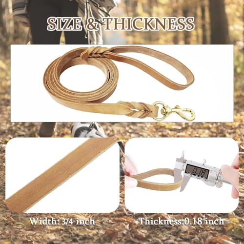Leather Dog Leash 6ft x 3 (6 ft x 3/4 inch / Tan)