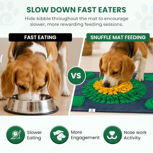 Snuffle Mat for Dogs 24 x 24 in