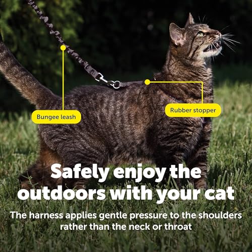 Come with Me Kitty Harness and Bungee Cat Leash (Small (Pack of 1) / black/fawn)