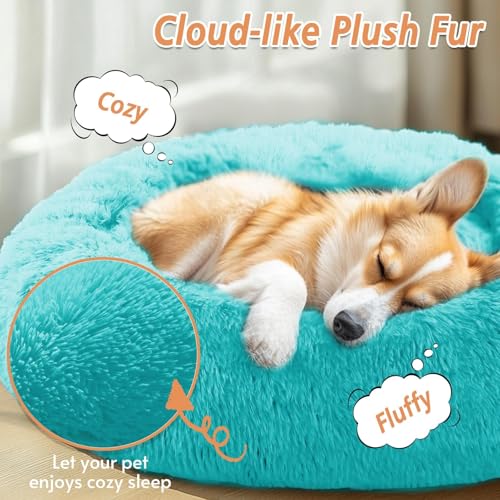 Calming Dog Beds Large Sized Dog (Aqua Blue / 36.0"L x 36.0"W x 8.0"Th)