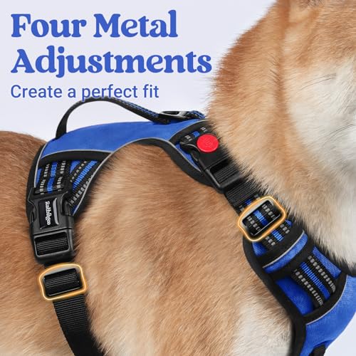 Large Dog Harness (Small / Blue)