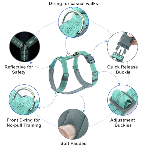 No Pull Dog Harness (M / Teal)