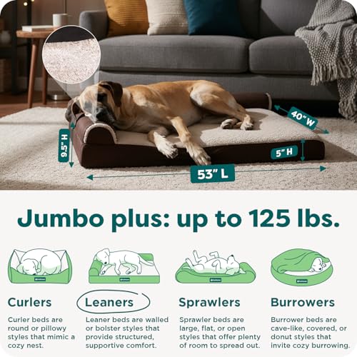 Orthopedic Dog Bed for Large Dogs (Jumbo Plus / Espresso)