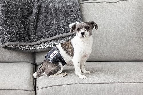 Washable Belly Bands for Male Dogs (Small (13-16") / Camo)
