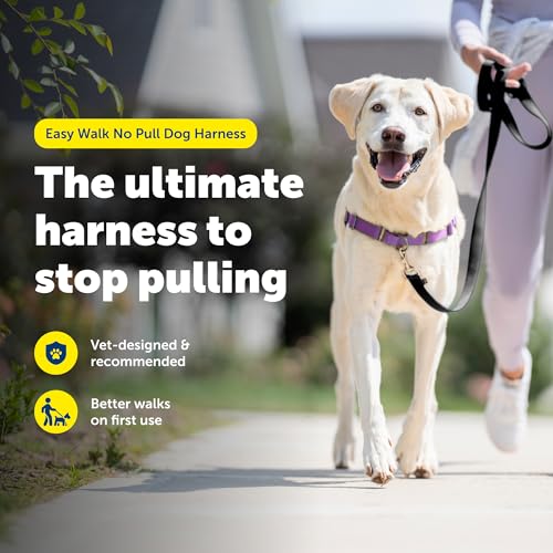 Easy Walk Harness (Large / Deep Purple/Black)