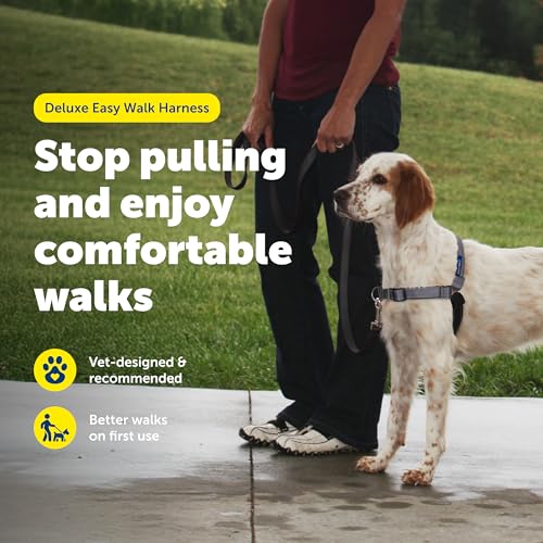 Easy Walk Deluxe Dog Harness (Medium / Steel)