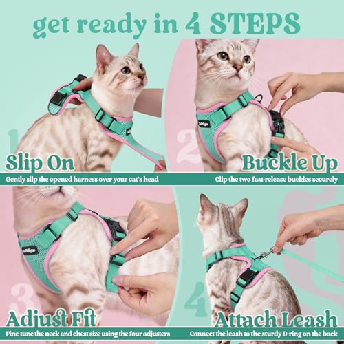 Cat Harness and Leash Set (M / Green & Pink)