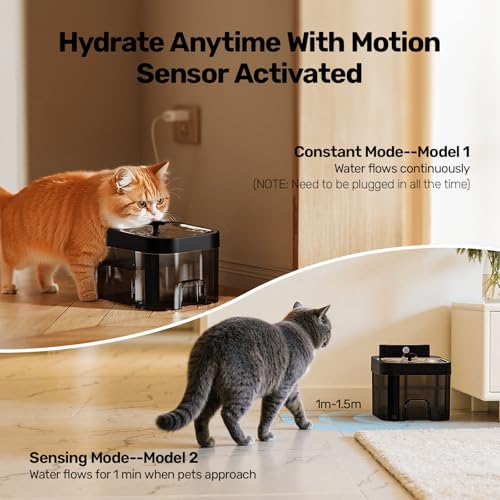 Cat Water Fountain (Black)