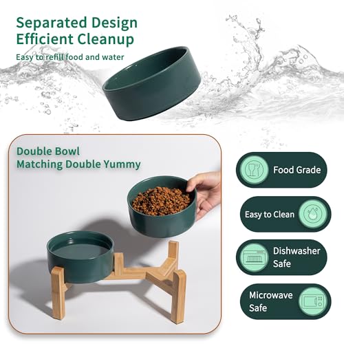 Elevated Ceramic Dog Bowl (Green / Medium)