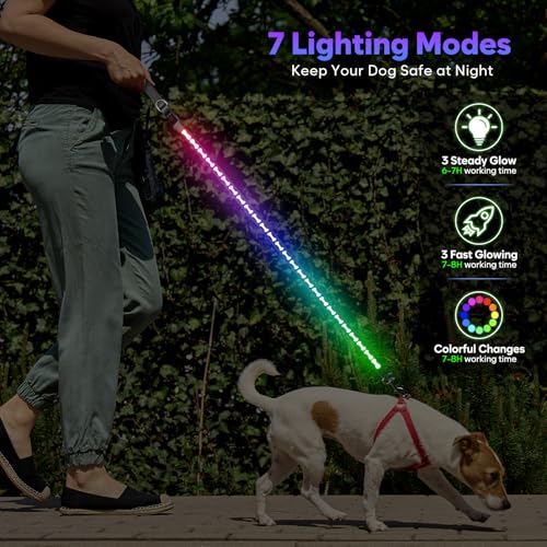 Light Up Dog Leash (Grey)