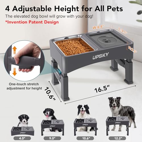 3-in-1 Elevated Dog Bowls Set with 4 Height Adjustable Stand, Gray (D-3 in 1 (Grey))