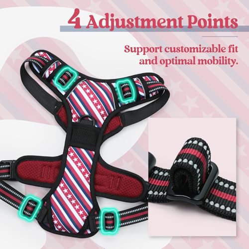 Dog Harness No Pull for Large Dogs with 2 Leash Clips (Large / Red Stripe)