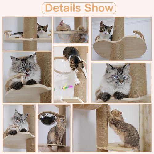Floor to Ceiling Cat Tree Height (5-tier cat tree)