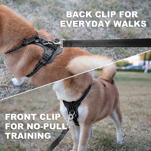 No Pull Dog Harness with Leather Accents (L / Black)