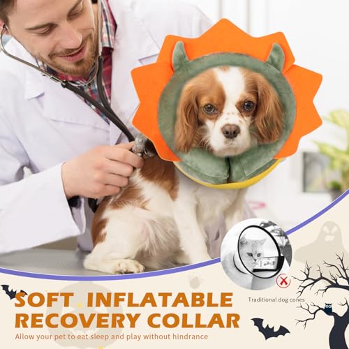 Inflatable Recovery Dog Collar (Green Demon / Medium (Neck:8''-10''))