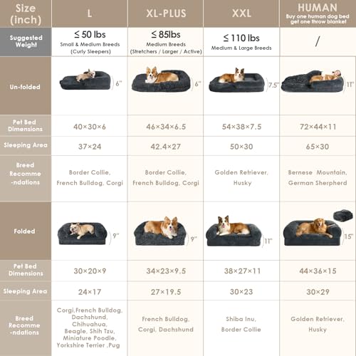 Orthopedic Foldable Human Dog Bed (72x44x11(Folded 44x36) / Dark Grey)
