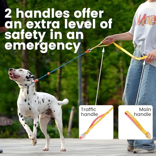 Slip Lead Dog Leash (Brown / 5.5FT)