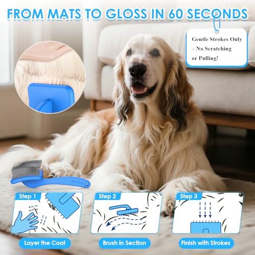 Large 3 in 1 Dog Grooming Kit (Blue)