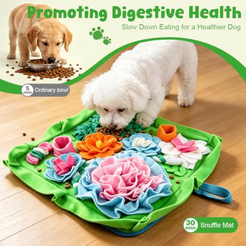 Snuffle Mat for Dogs (E)