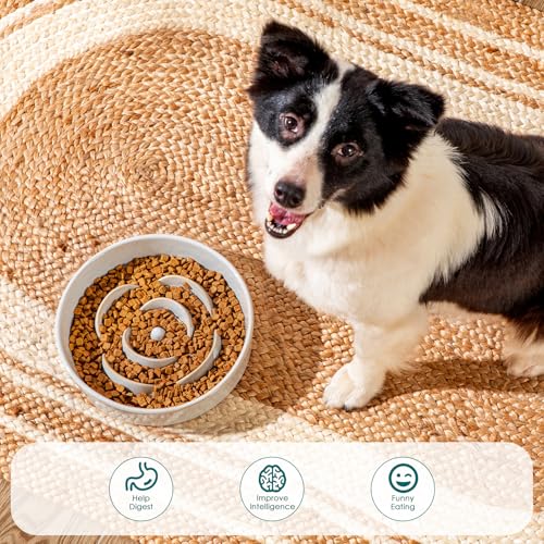 Slow Feeder Dog Bowls (L - 3 Cups / Light Gray)